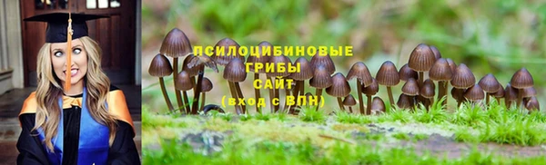 гидра Алексеевка