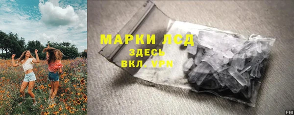 гидра Алексеевка
