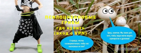 прущие грибы Алексин