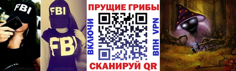 omg закладка Анива Псилоцибиновые грибы мухоморы